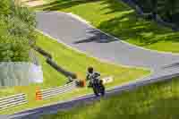 Advanced Group Silver_Grey Bikes